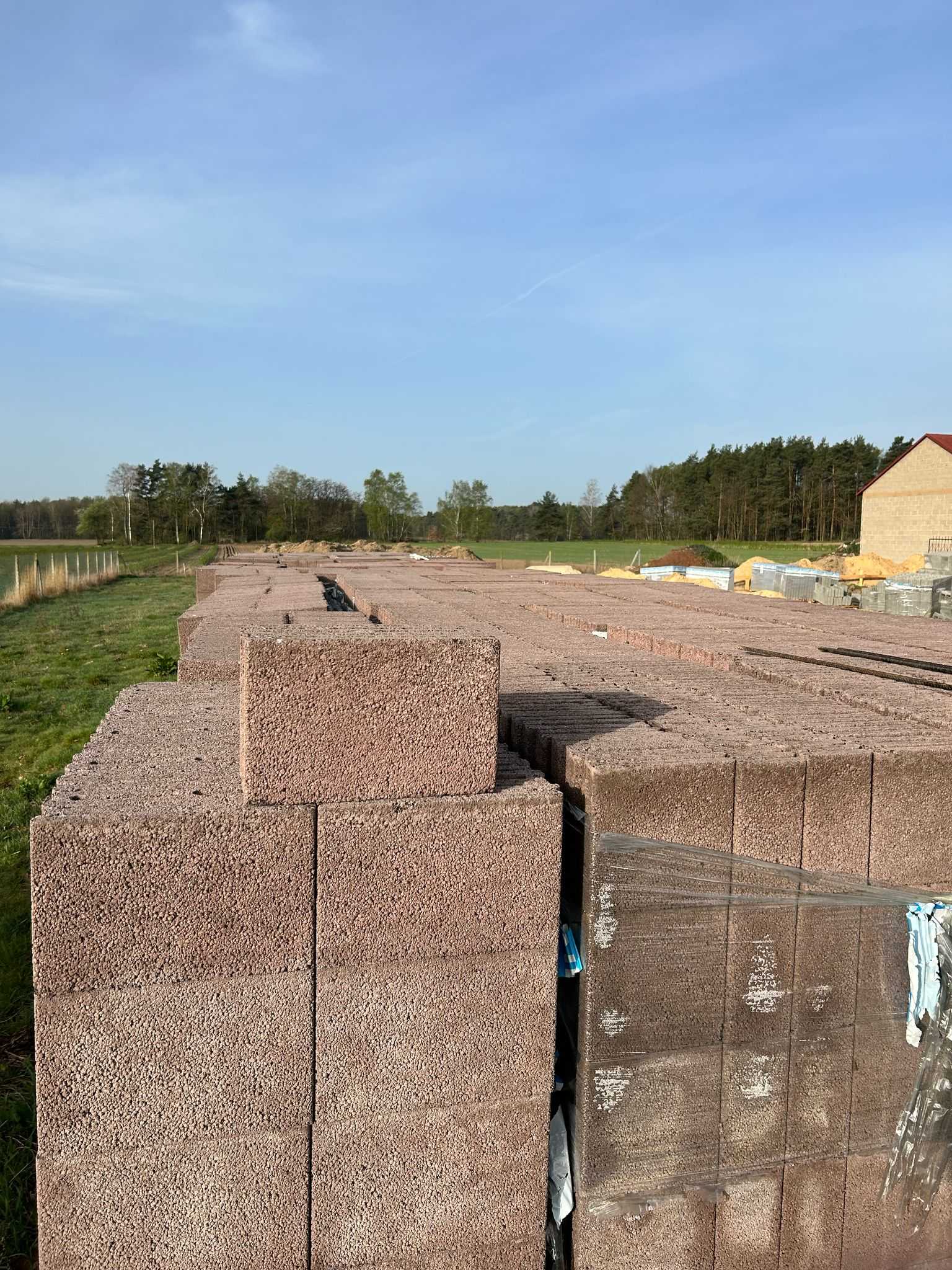 Lutówka k/Grójca, Mazowieckie 17.04.2025 r.